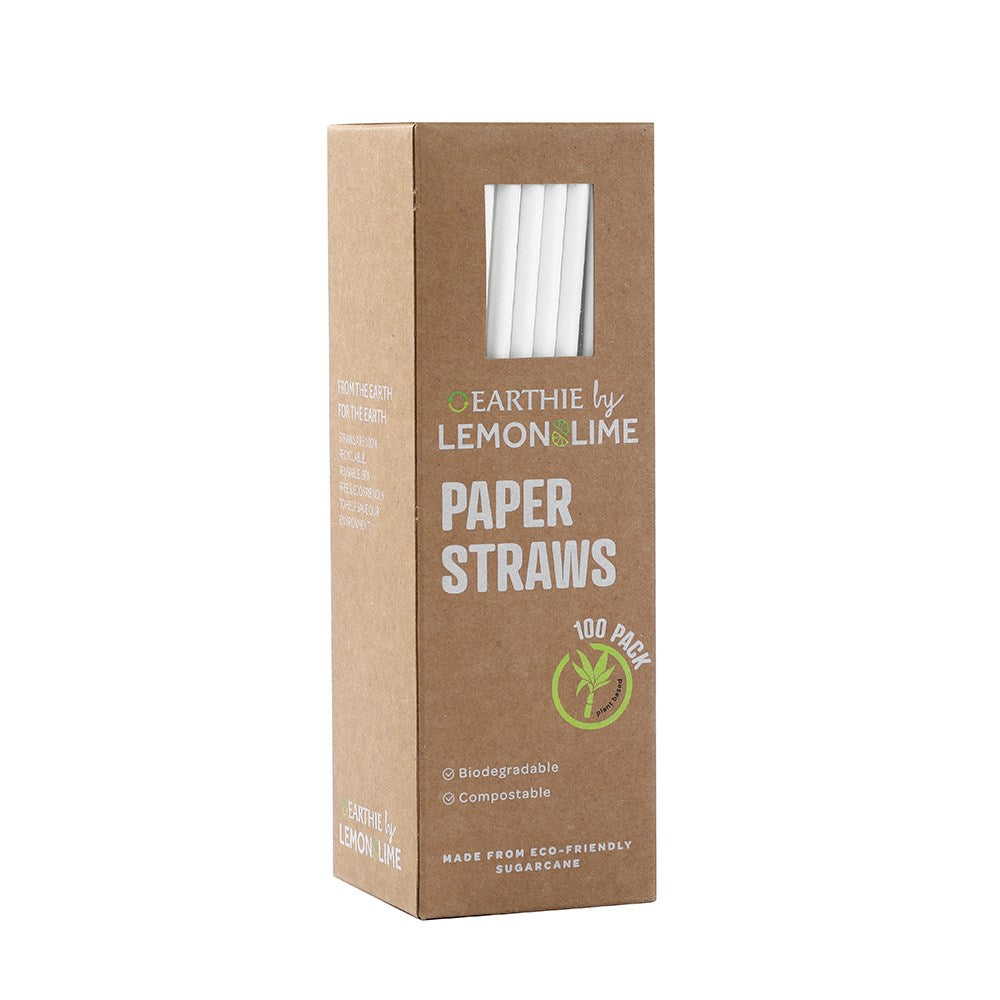 14537 (Lemon & Lime Eco Paper Straws White 100pcs)